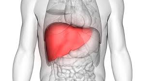 Things to be aware of concerning liver health
