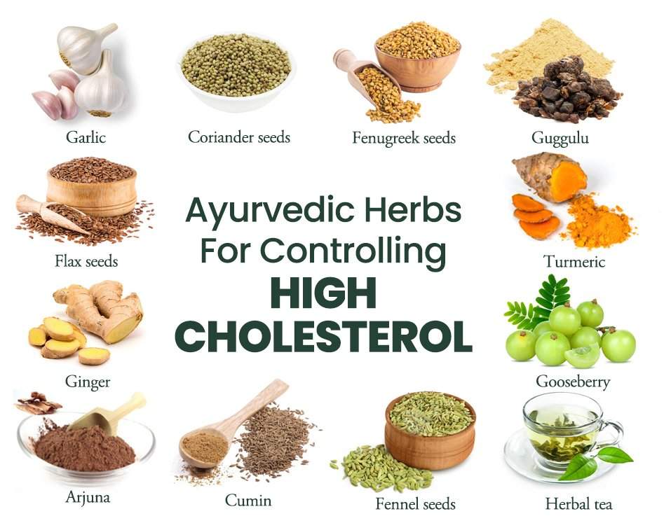 Top Herbs in Ayurveda for Reducing High Cholesterol