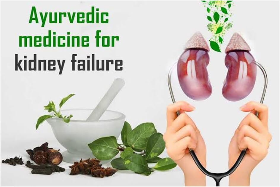 Ayurveda: A Hope for Kidney Patients