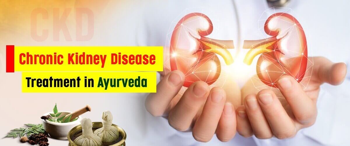 Ayurveda's Role in Treating Chronic Kidney Disease
